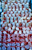 Blood samples cryogenic storage freezer