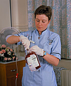 Nurse fits a drip to a bag of donated blood