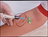 Doctor's hands use syringe to take blood sample
