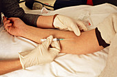 Hands of doctor taking blood sample from arm