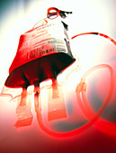 View of a bag containing a blood donation