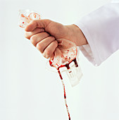 Blood transfusion,conceptual image