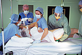 Double hip replacement surgery