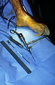 Ankle arthroscopy preparation