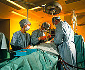 Surgeons perform triple bypass surgery on heart
