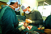 Surgeons performing a kidney transplant operation