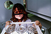 Researcher with samples of artificial skin