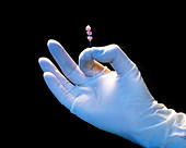 Gloved hand holding discs of artificial cartilage