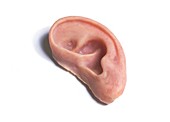 Prosthetic (artificial) ear