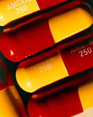 Antibiotic capsules