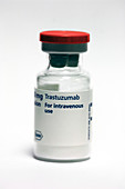 Trastuzumab cancer drug