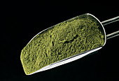 Dried spinach powder