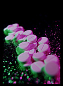 Tablets of the painkilling drug,paracetamol