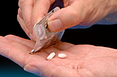 Paracetamol painkilling pills