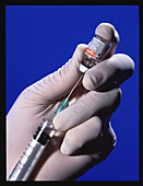 Drawing hepatitis B vaccine into syringe