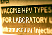 Human papillomavirus vaccine