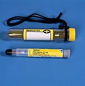 EpiPen adrenaline syringe