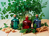 Bottled aromatherapy oils and assorted herbs