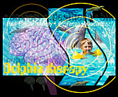 Dolphin therapy
