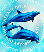 Computer illustration of dolphin therapy