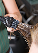 Bull semen hair treatment being applied