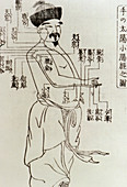Japanese acupuncture points