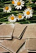 Herbal medicine: chamomile tea bags