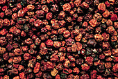Dried rowan berries