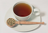 Chicory tea
