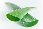 Aloe vera leaves