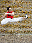 Martial arts kick