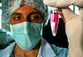 Technician holding centrifuge tube of human sperm