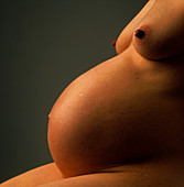 Side view of abdomen of full-term pregnant woman