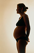 View of a woman 15 weeks pregnant