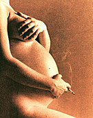 Naked torso of pregnant woman smoking a cigarette