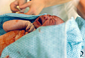 Newborn baby after birth