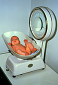 Three month old baby being weighed