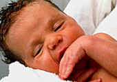 Portrait of a healthy newborn baby