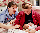 Midwife helps mother to establish breastfeeding