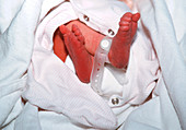 Newborn baby's tag
