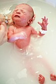 Newborn baby being bathed