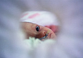 Premature baby in incubator with nasogastric tube