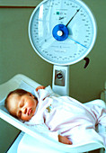 View of a premature baby being weighed