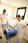 Nurses cleaning an incubator