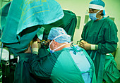 Surgeons carrying out a hysteroscopy examination