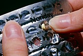 Packet of 'mini pill' oral contraceptives