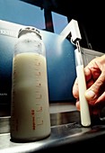 Clinical analysis of human milk