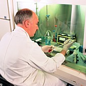 Researcher performing an immunoassay test