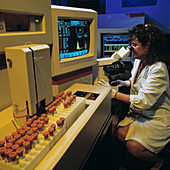 Pathologist examines slides under a microscope