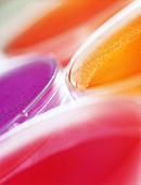 Close-up of petri dishes